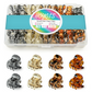 HOYOLS 36 Pcs Small Tortoise Hair Claw Clips, Mini Half Up Plastic Hairclips for Women Girls, Strong Grip Non-Slip Jaw Clips for Thin Short Hair (Amber Glow Mix Color)